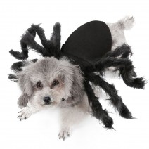 Halloween Dogs Cats Spider Costume Pet Party Outfits for Small Dogs Cats